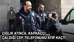 Kapkaççı çaldığı cep telefonunu atıp kaçtı