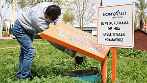 Konyaaltı Belediyesi  hayvanları unutmadı