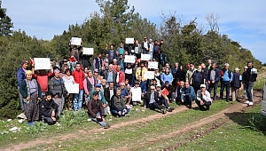 Mahalleliden  ağaç eylemi