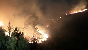 Manavgat'ta  orman yangını