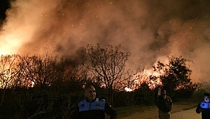 Serik'te sazlık yangını