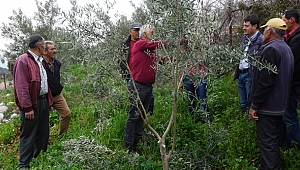 Toroslarda budama eğitimi