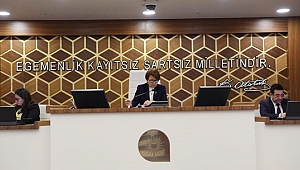 Ulaşım esnafına  destek ödemesi  nisanda görüşülecek