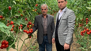 Üretici için destek istedi