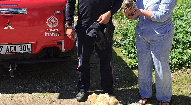 Yavru köpeği itfaiye kurtardı