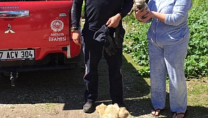 Yavru köpeği itfaiye kurtardı