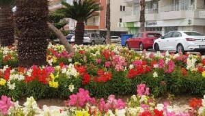 Antalya sokakları çiçek açtı
