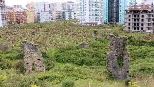 Antik kent muz bahçesi arasında kaldı