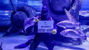 Balık adamlardan 'Covid-19' mesajı