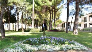 Dokumapark çiçek açtı