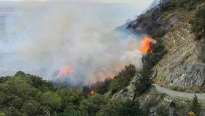 Gazipaşa'da çalılık yangını