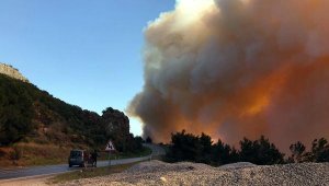 Gazipaşa'daki orman yangını 9 saatte kontrol altına alındı lar