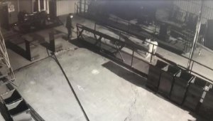 Girdikleri atölyedeki Pitbull, Kangal ve güvercinleri de çaldılar