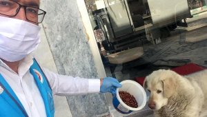 İmam hatiplerden koronavirüs mücadelesine destek