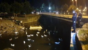 Jandarmadan dere yatağındaki ördeklere şefkat eli