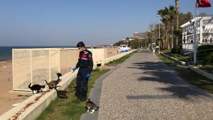 Jandarmadan kedilere mama