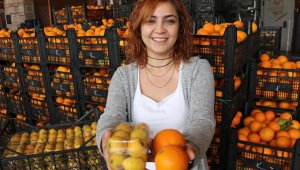 Malta eriği, üreticinin yüzünü güldürüyor