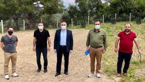 MASİAD'dan tıbbi aromatik bitki atağı