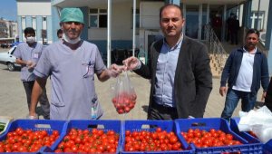 MHP'den sebze desteği