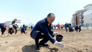 Muratpaşa'da tohumlar toprakla buluştu