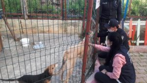 Okuldaki balık ve köpekleri polis besledi