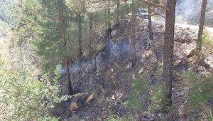 Ormana sıçrayan alevleri söndürmek isterken yanarak can verdi