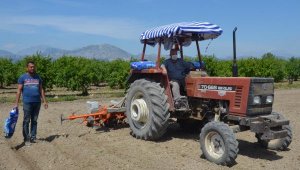 Serik'te pamuk ekimi başladı