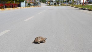 Serik'te sokaklar boşaldı