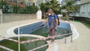 Sinekle mücadele devam ediyor