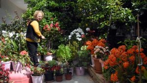 Sokağa çıkamayan emekli öğretmen, 92 saksıdaki çiçekleriyle ilgileniyor