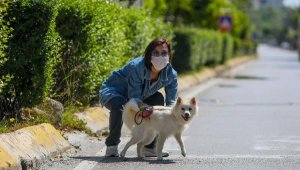 Sokağa çıkma yasağında köpeklere ihtiyaç molası