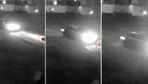 Sokağa çıkma yasağında yolda uyuyan köpeği ezdi