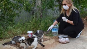 Sokak hayvanlarını unutmadı