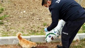 Sokaktaki dostları unutmadılar