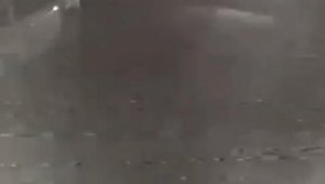 Sürücünün aracıyla üzerinden geçtiği köpek yaralandı