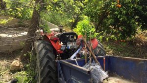 Traktörle ağaç arasına sıkıştı