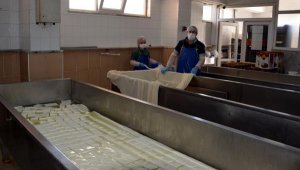 Türkiye'nin sebze ve meyve üssü Antalya'da üretim aralıksız sürdü