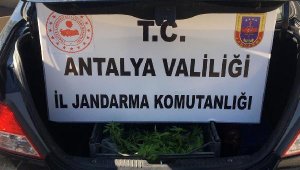 Uyuşturucu madde götürürken yakalandılar