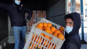 Yaş meyve ve sebze ihracatında rekor artışlar