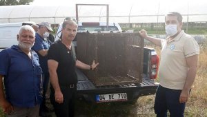150 tavuğunu telef eden tilkiyi, özel düzenekle yakaladı