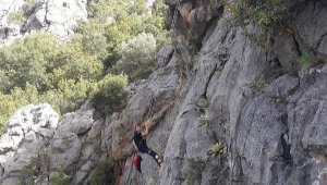 2 gün kayalıklarda mahsur kalan keçi kurtarıldı