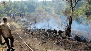 Alanya'daki yangına vatandaşlar da müdahale etti
