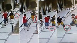 Anne kedi, yavrularını korumak için köpek ve sahiplerine saldırdı