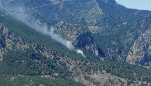 Antalya'da orman yangını çıktı