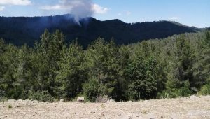 Antalya'da orman yangını çıktı