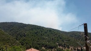 Antalya'da orman yangını