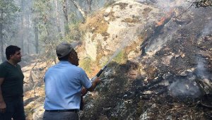 Antalya'da orman yangını