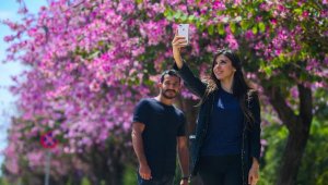 Antalya'da rengarenk ilkbahar