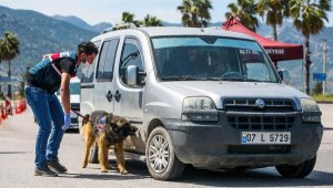 Antalya'ya kontrollü giriş