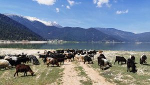 Avlan Gölü gerçek sahiplerine kaldı